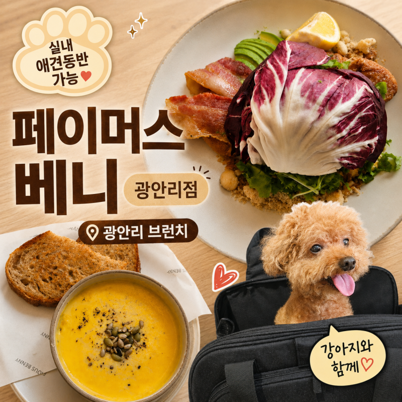 광안리 맛집 브런치카페 페이머스 베니 광안리점 실내 애견동반 후기