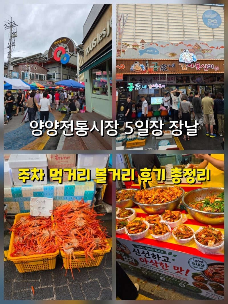양양전통시장 5일장 날짜 먹거리 식당 장날 주차 꿀팁 총정리