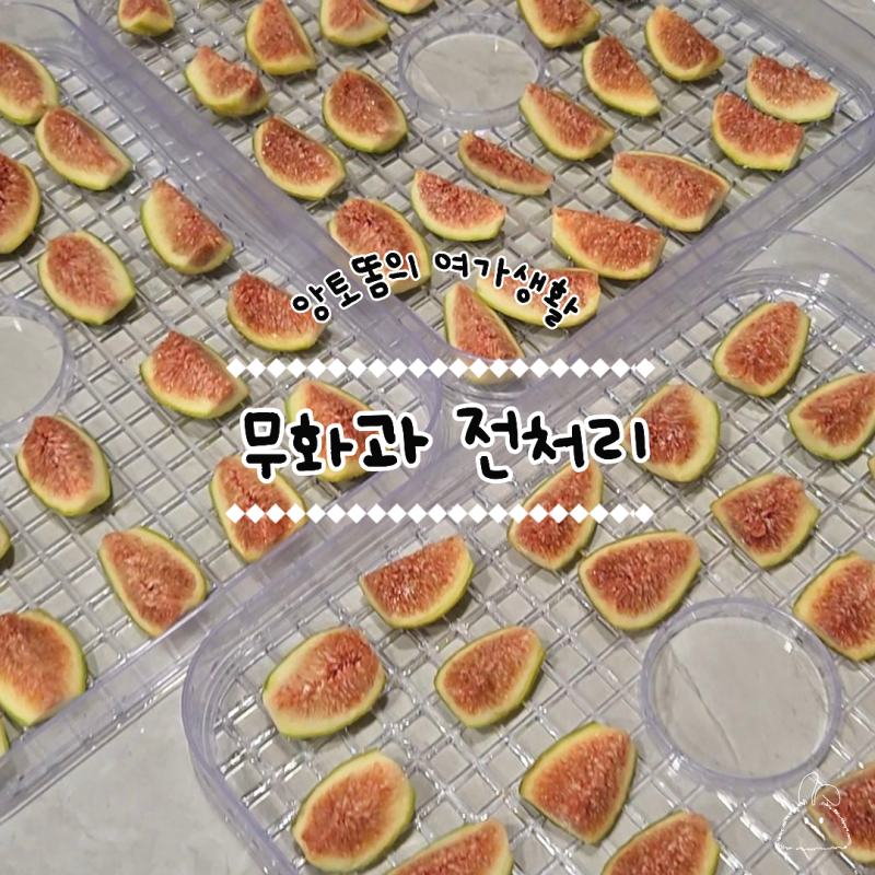 무화과 건조와 와인으로 전처리하는 방법