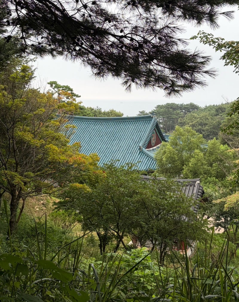 강원도 양양 가볼만한 곳 :: 낙산사 / 낙산해수욕장