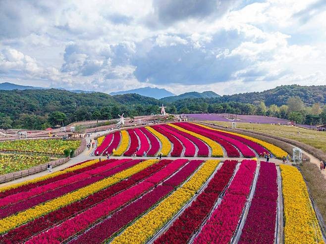 9월 여행. 축제 인기 베스트 추천명소. 가볼만한 곳