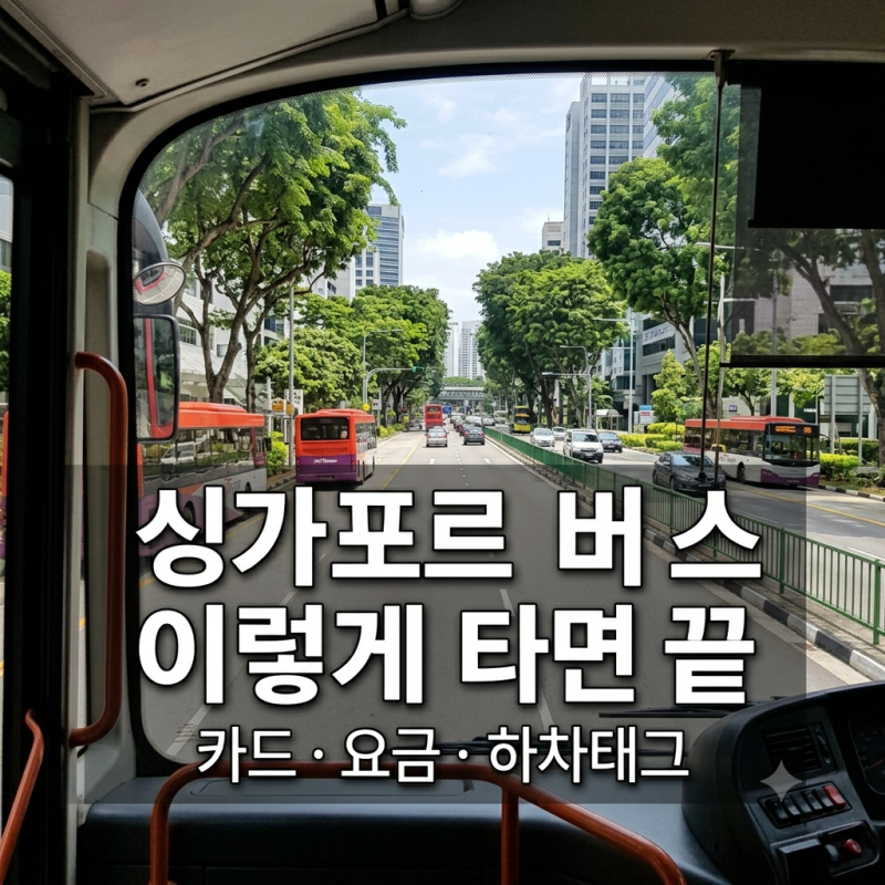 싱가포르 버스 타는법｜카드 요금 하차태그까지 직접 이용 후기