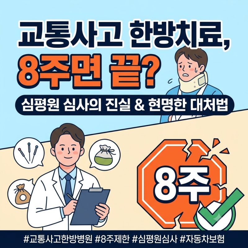 "8주 넘었다고 한약 안 지어준다네요?" 자동차보험 한방병원 8주 제한 심사 진실과 합법적 연....