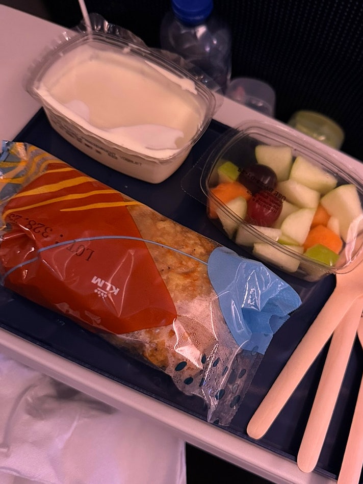 KLM 항공 후기 기내식 위탁수화물 암스테르담 인천