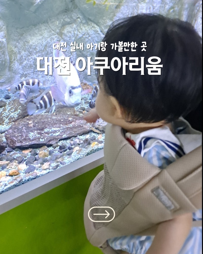 대전 아기랑 실내 | 대전 보문산 아쿠아리움 오월드 비교 후기