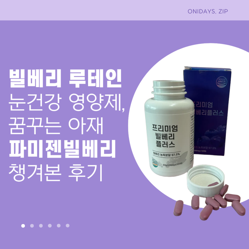 빌베리 루테인 루테인 추천! 꿈꾸는아재 눈건강 영양제 후기
