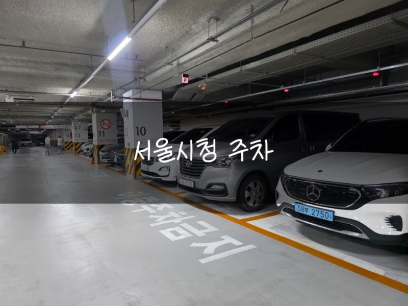 서울시청 가볼만한곳 서울갤러리 지하1층 전시, 서울시청 주차까지
