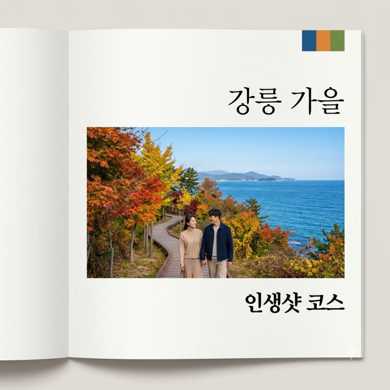 강릉 가을 여행코스, 2026년 단풍 절정 시기 완벽 가이드!