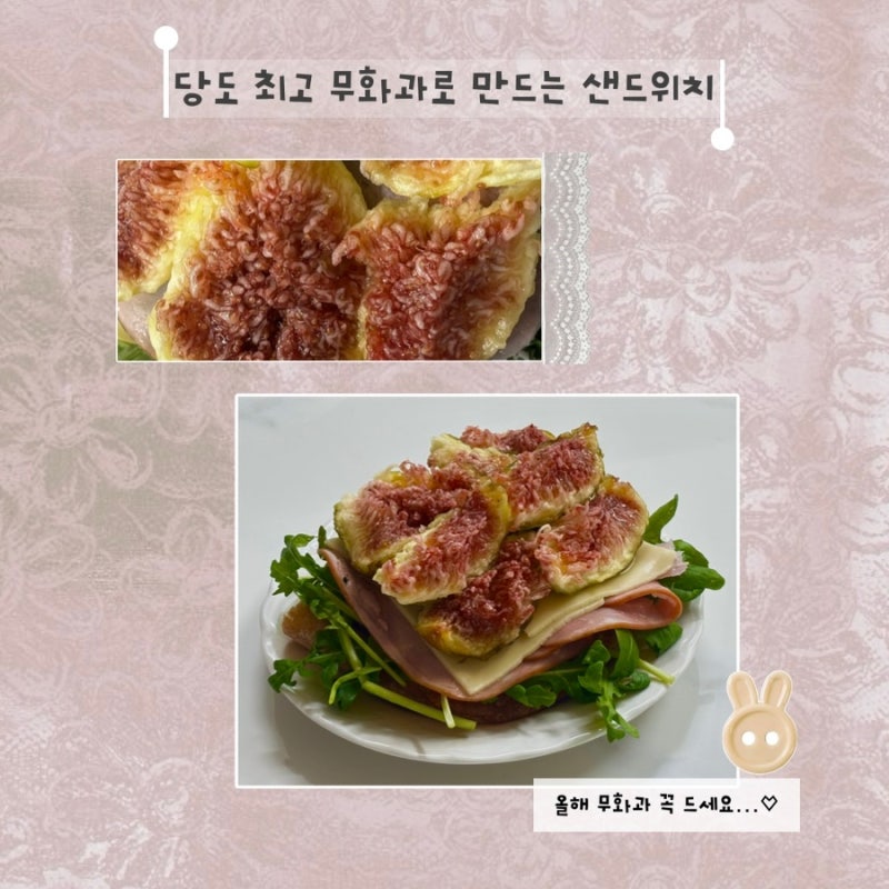가을을 기다린 이유, 달콤한 제철 무화과를 담은 무화과 샌드위치 레시피