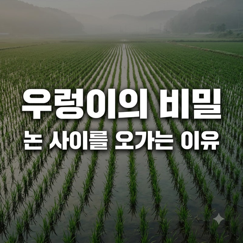 우렁이가 논에서 벼 사이를 오가는 이유 3가지와 효과