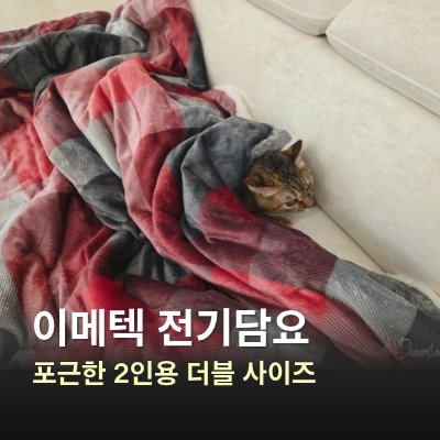이메텍 전기담요 2인용, 거실에서 덮기 좋은 넉넉한 더블 사이즈