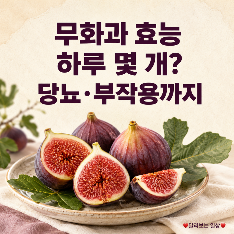 무화과 효능과 부작용, 하루 몇 개? 당뇨·먹는 법·보관법까지