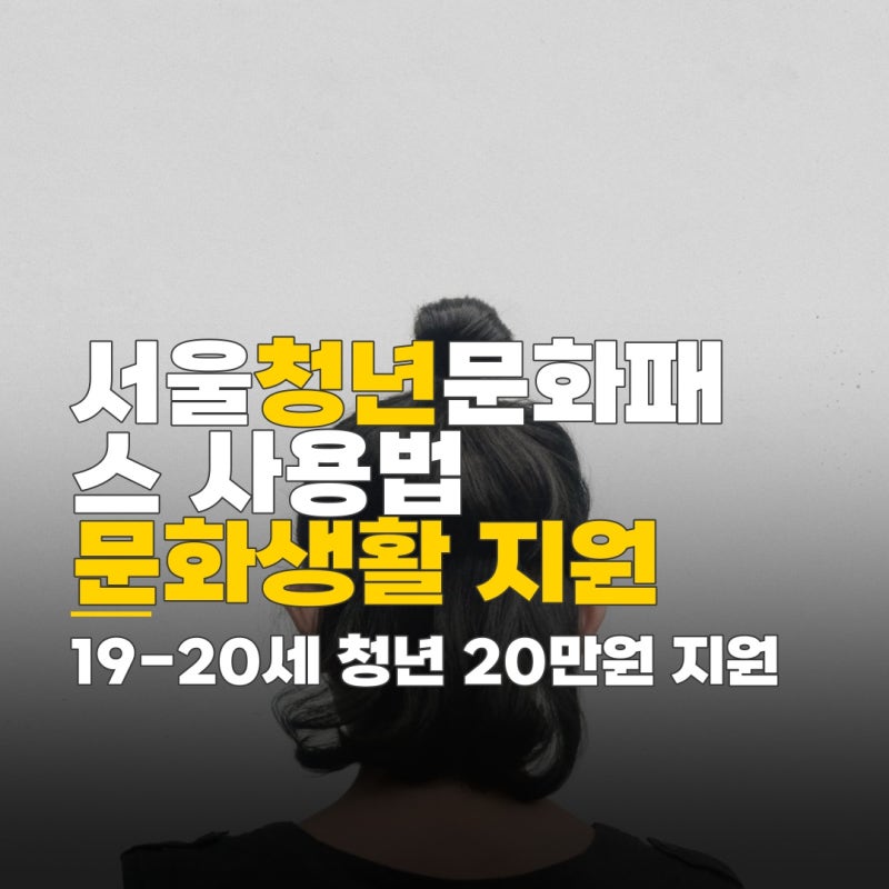 서울청년문화패스 사용법, 19세 20세 청년 지원금 신청 기준