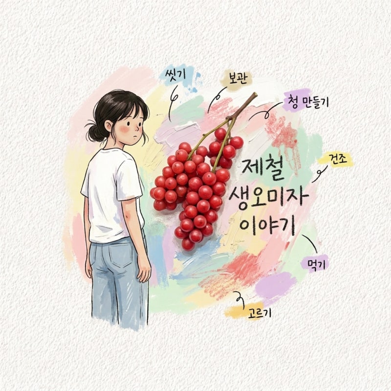 생오미자 제철 수확시기 씻는법 보관법 냉동 청 담그는법 우리는법 먹는법 고르는법