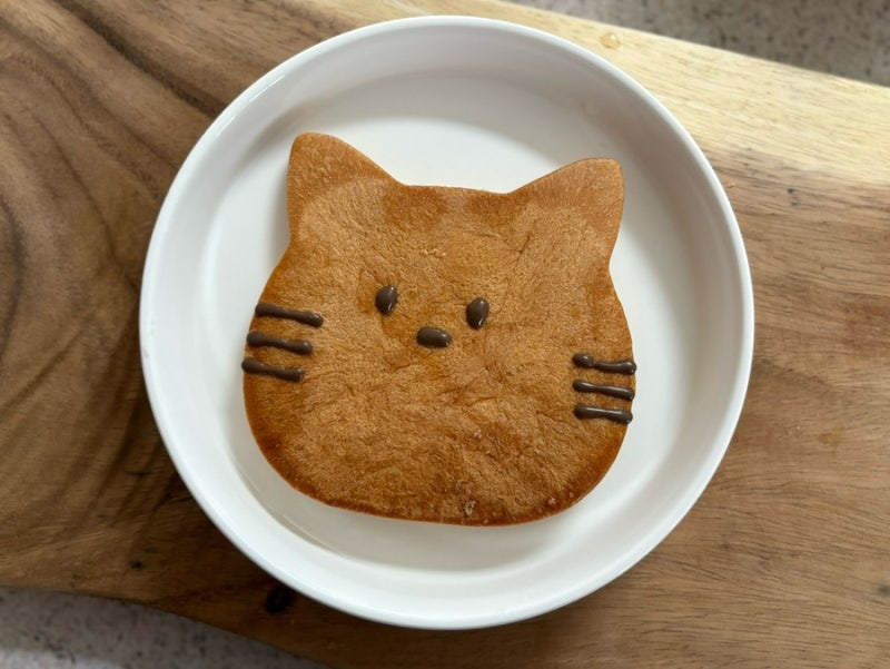 귀여움 한도초과 밀도 튼튼 고양이 식빵