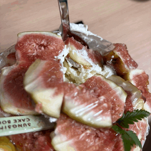 [대전여행] 성심당 무화과케이크 마감런,오픈런 후기 롯데백화점 대전점 주말 웨이팅 빵쇼핑....