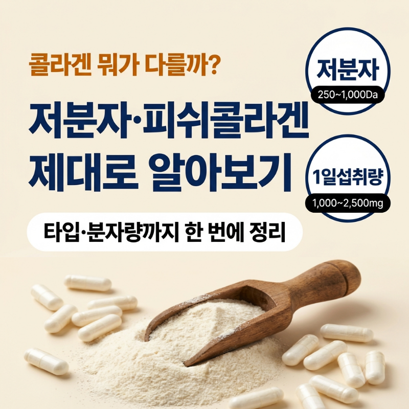 콜라겐, 저분자·피쉬콜라겐·분자량·달톤까지 제대로 알아보기