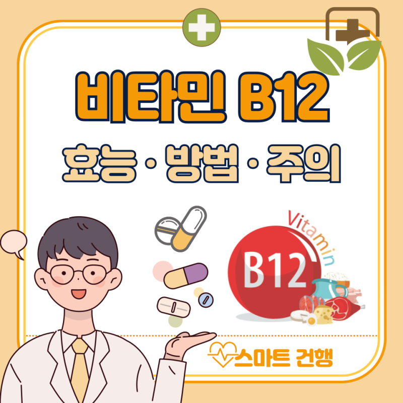 비타민B12 효능 5가지, 부작용 : 비타민B12 음식