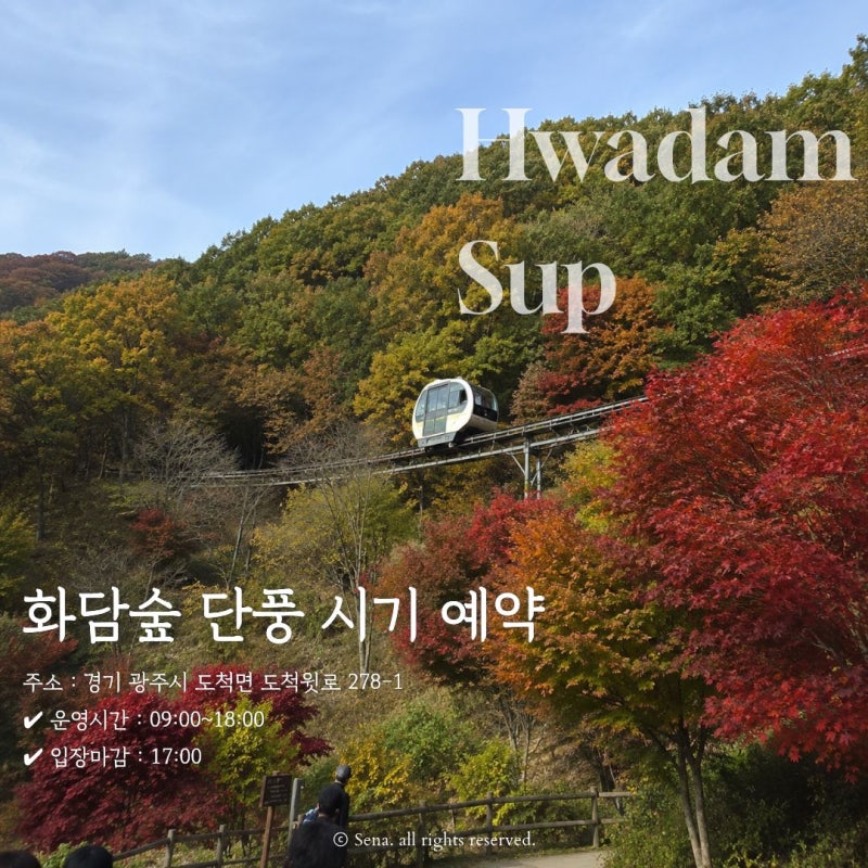 2026 화담숲 예약방법 모노레일 예약부터 단풍 시기 주차장까지
