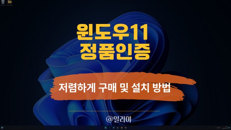 “새 노트북 샀는데 윈도우가 없다?” 프리도스 윈도우 11 저렴하게 설치하는 법
