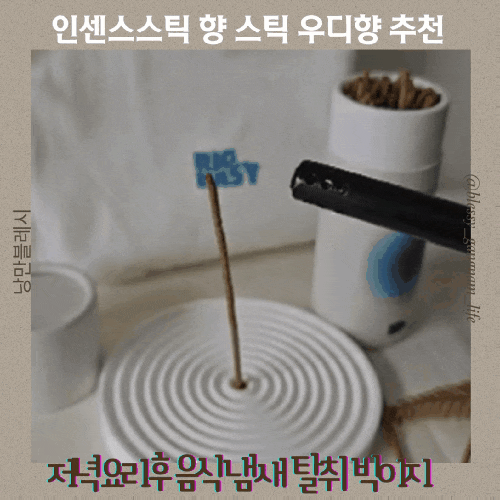 인센스스틱 향 스틱 우디향 추천 저녁 요리 후 음식 냄새 탈취 빅이지