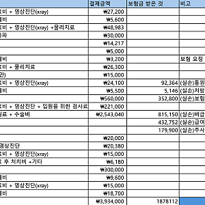 발목 인대 파열 수술 비용 보험수령금 총정리, 굴러서 알아낸 보험서류 꿀팁