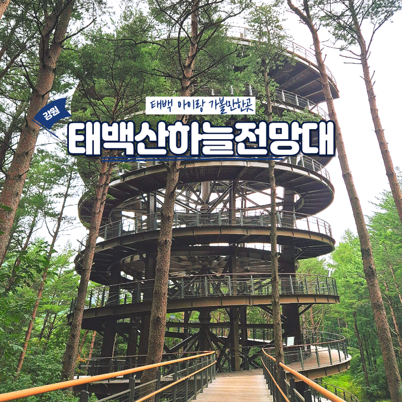 강원도 태백산하늘전망대 입장료 주차 총정리(+초등 아이랑)