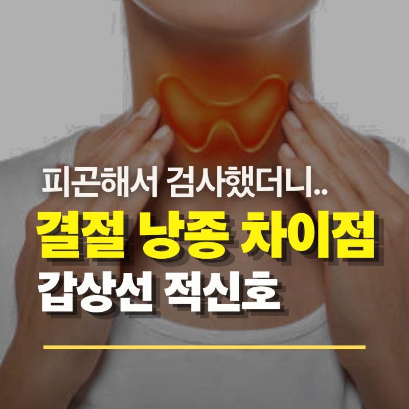 갑상선 낭종 결절 차이점 항진증 저하증 결과지 해석