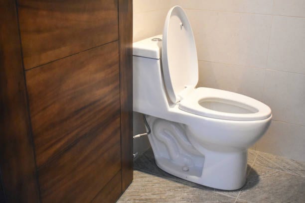 변비직빵 음식 따로 있을까? 변비에좋은음식과 유산균 추천 기준