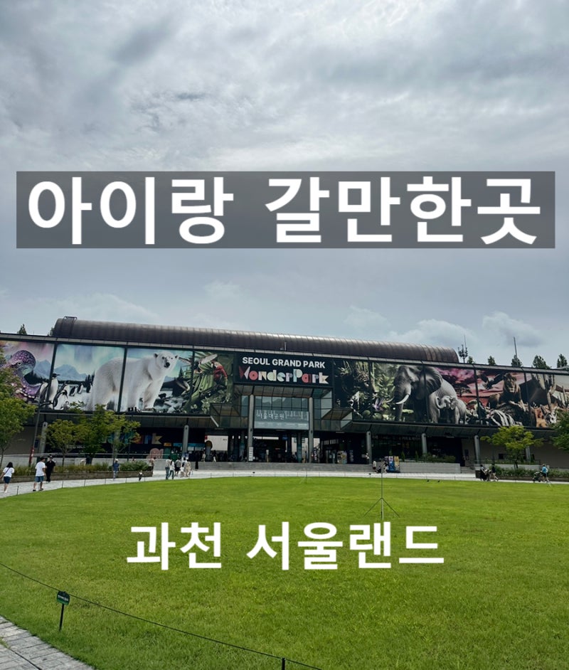 날씨 좋은 날 아이랑 서울 근교 나들이 가기 좋은 곳 입장권 구매 꿀팁 서울 과천 서울랜드 ....