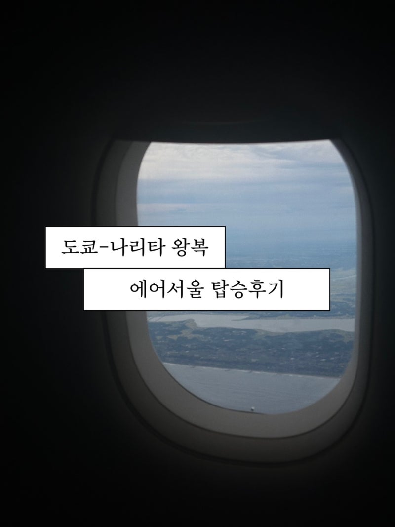 [도쿄-인천 에어서울 왕복탑승후기 RS701-RS702] 도쿄 나리타1터미널 인천공항2터미널 에어서울 ....