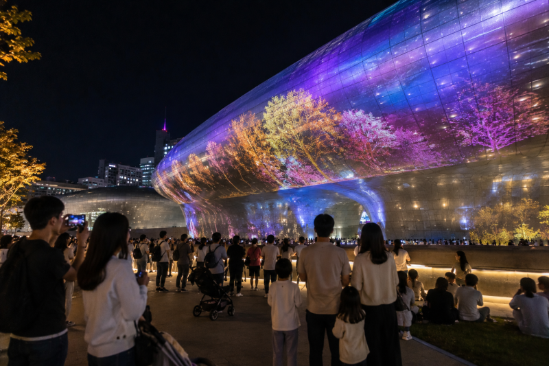 2026 서울라이트 DDP 가을 일정, 관람 전 알아둘 정보