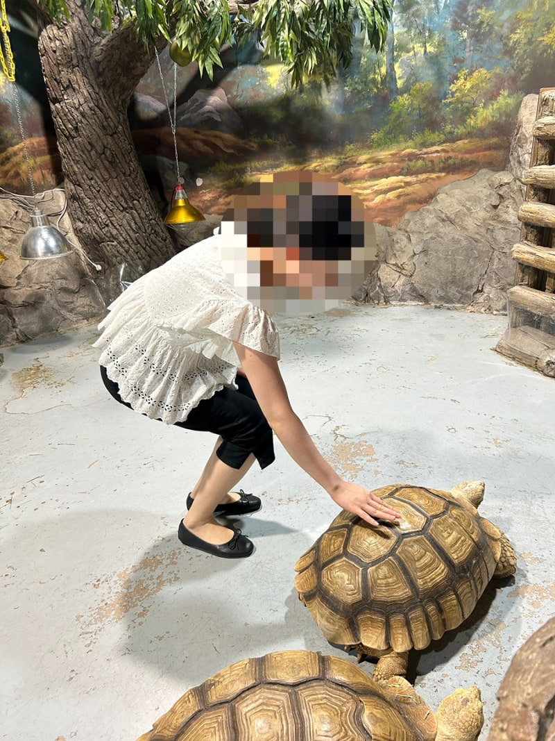 4개월 아기랑 대구 신세계 아쿠아리움 하프권 이용법 가격 수유실 무료주차시간 공연 시간표....