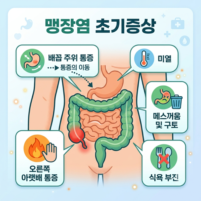오른쪽 배 통증, 단순 체기일까 맹장염일까? 초기증상 구분법 및 자가진단 방법