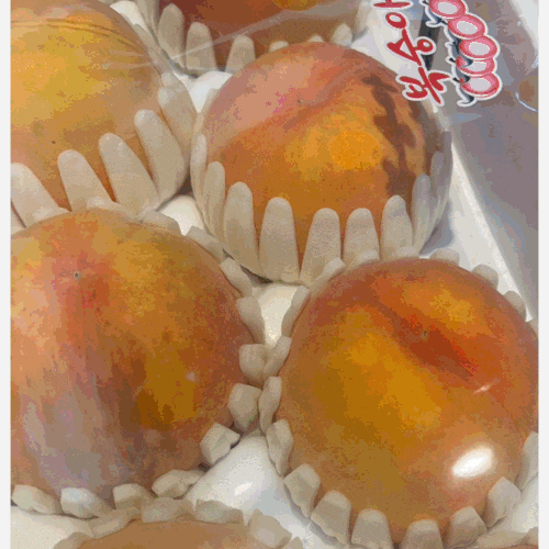 황도 복숭아 맛과 식감 칼로리 영양성분 맛있게 먹는법 총정리