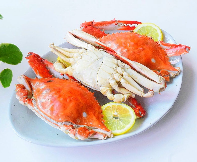 꽃게찌는법 활꽃게 손질법 살아있는 생물꽃게 보관 꽃게찜 하는법 롯데마트 꽃게 가격 행사