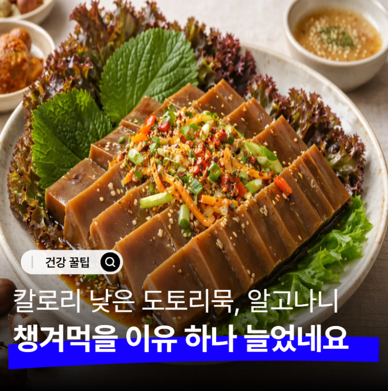 "도토리묵 효능 이 정도였어?" 밥 대신 찾는 사람들 늘어난 이유