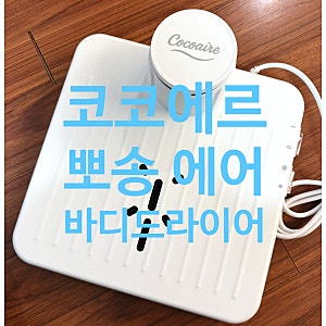 아이 있는 집 반려동물 바디 드라이어 추천, 샤워 후 삶의 질이 달라지는 경험! 코코에르 뽀....
