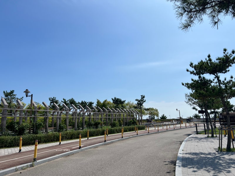 2026 인천 영종구 웰니스 국제 걷기대회 개최 일정·장소·참가 정보 총정리