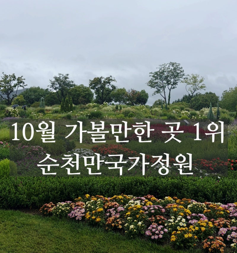 10월 순천만국가정원 지도 및 입장료 총정리 (스카이큐브, 관람차, 주차)