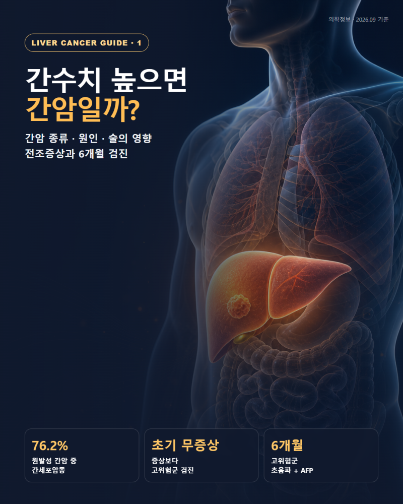 간수치 높으면 간암일까? 간암 종류·원인·전조증상과 6개월 검진 총정리