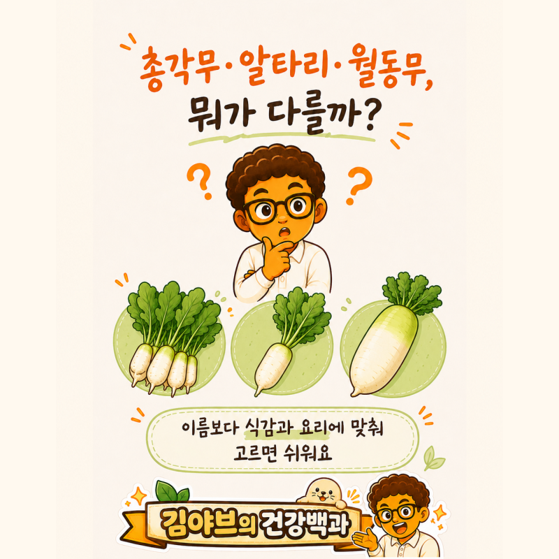 총각무 알타리무 월동무 차이와 취향별 요리법