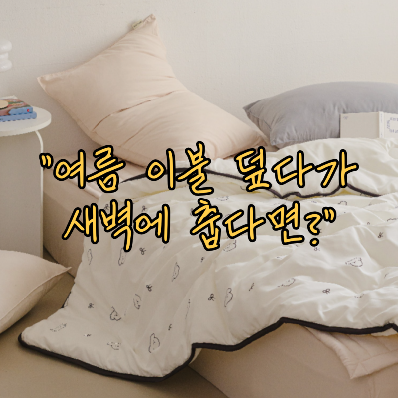 가을 침구 추천 자취생 가성비 환절기 차렵이불