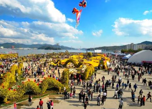 9월, 창원 마산국화축제