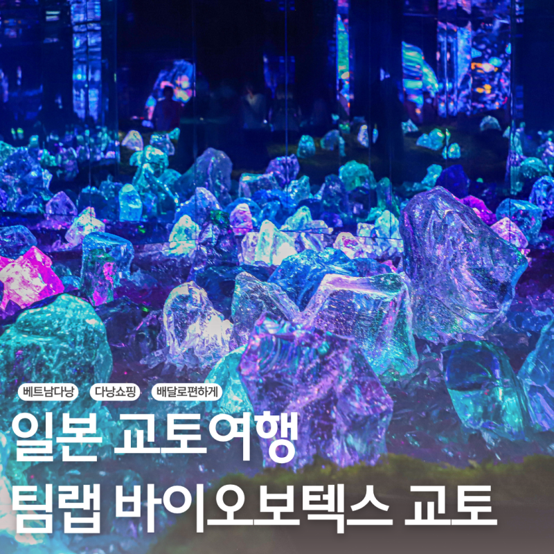 일본 교토 여행 요즘 핫플 가볼만한 곳 팀랩 바이오보텍스 교토