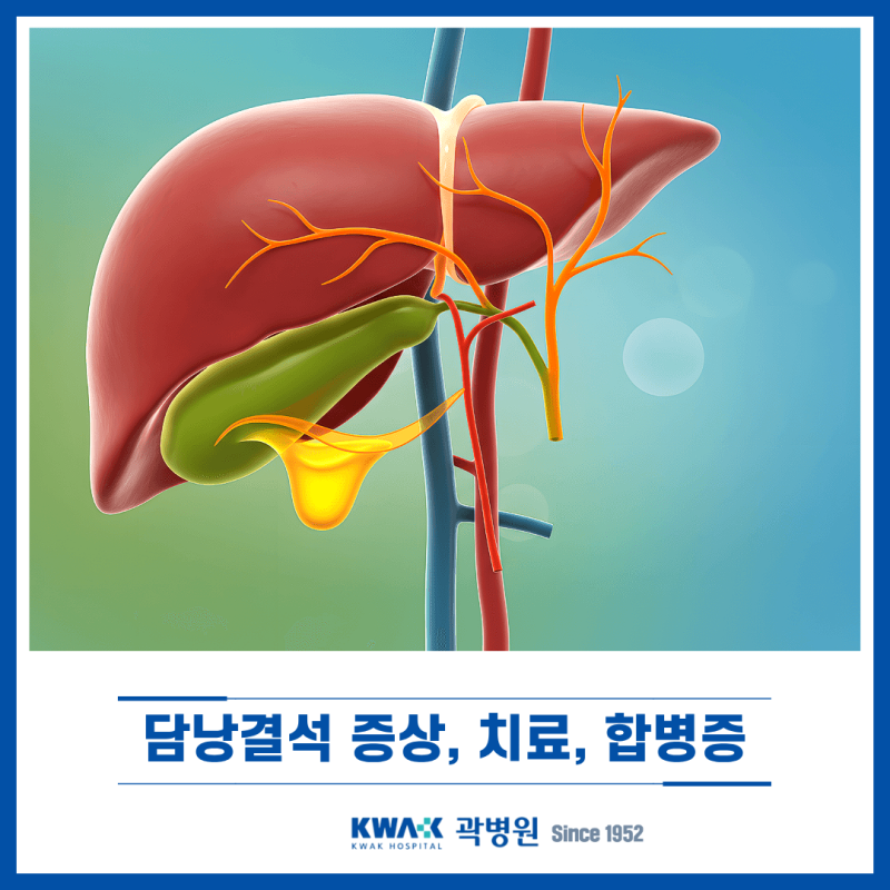 곽병원 외과 담낭결석 증상, 치료방법, 합병증은?