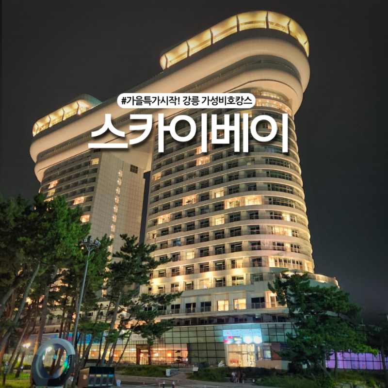 가을 특가! 강원도 강릉 숙소 스카이베이호텔 경포대 호캉스 추천