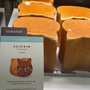 롯데백화점 본점 성수 밀도 식빵 ! 가격 및 보관 종류 추천까지