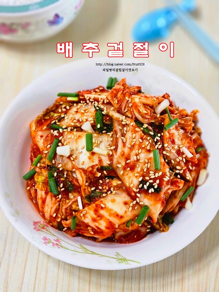 배추김치 배추 두 포기 맛 김치 배추 겉절이 레시피 김치양념