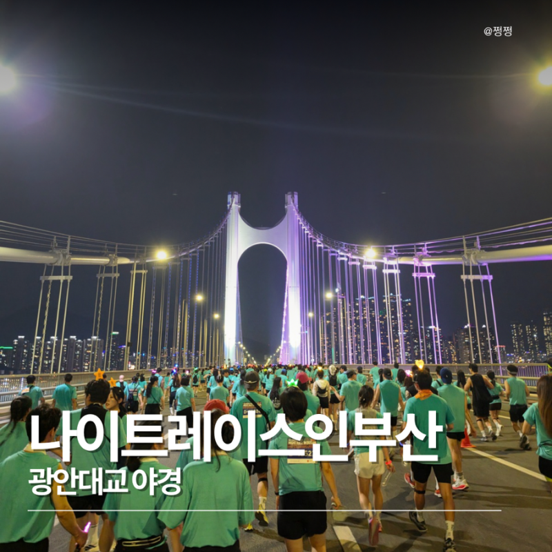 나이트 레이스 인 부산, 나이트런 후기/ 광안대교 야경